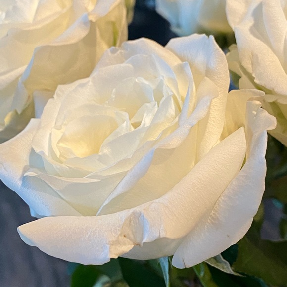 Meet your Posher, Brianna - Picture 1 of 1